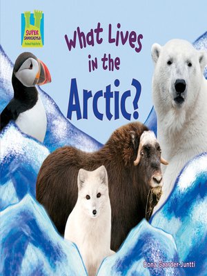 cover image of What Lives in the Arctic?